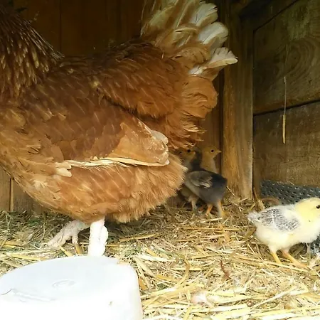 Mein Marienhof Bestensee