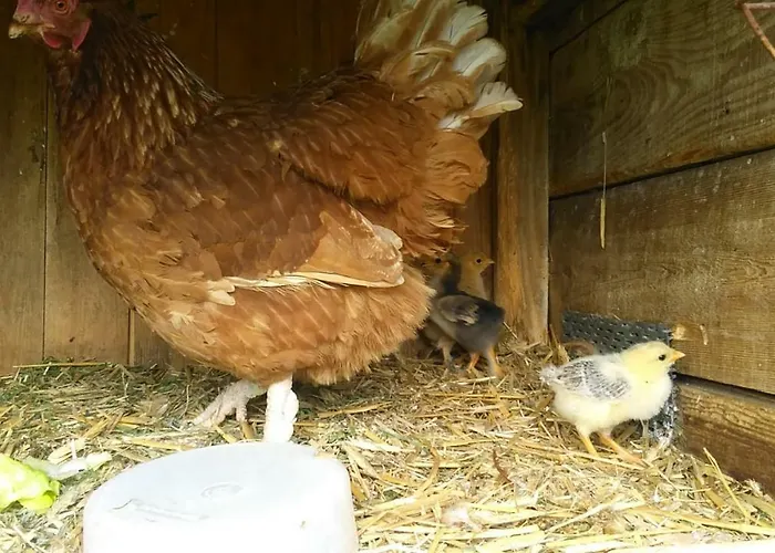 Mein Marienhof Bestensee